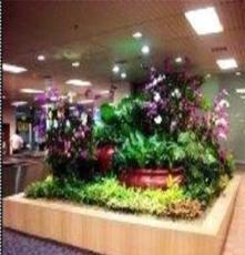 春季花卉展销 绚烂花海中的自然之美