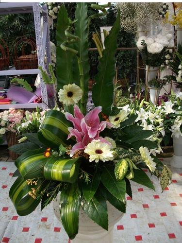 当前位置:产品展示 >> 花卉鲜花欣赏 >> 花插产品类别 产品类别 联系